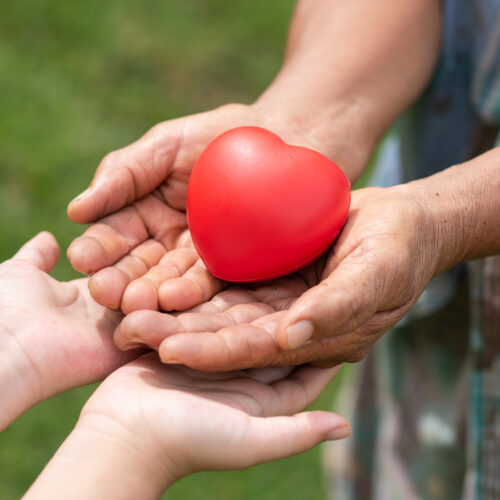 people-holding-rubber-heart